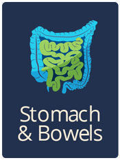 stomach & bowels